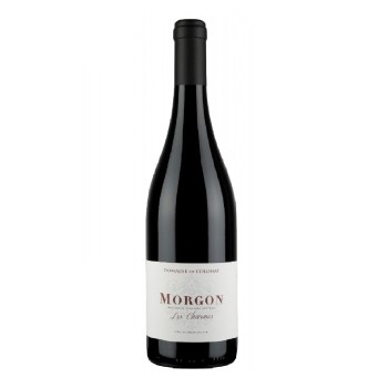 Domaine de Colonat, Morgon - Les Charmes 2022