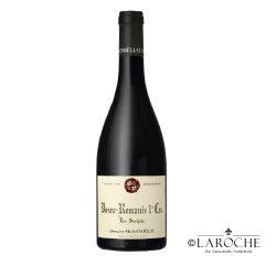 Domaine Noellat Michel et Fils, Vosne Romanée 1° Cru - Les Suchots 2022
