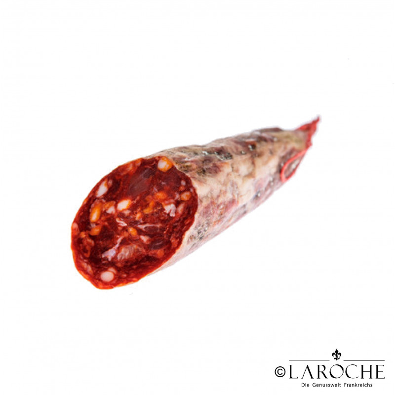 Pierre Sajous, Chorizo