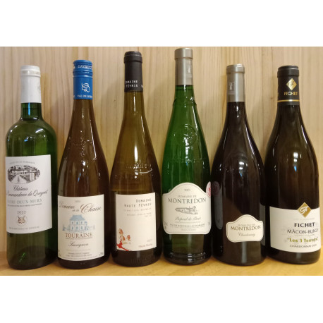 Tasting parcel 1: dry white wines up to 12,-