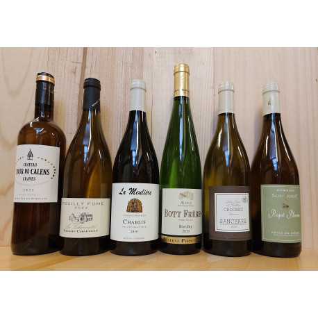 Tasting parcel 2: dry white wines from 15,- to 25,-