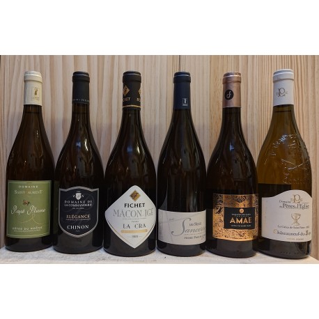 carton de dégustation vins blancs puissants pour le printemps