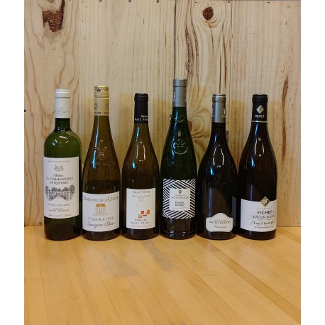Carton de dégustation 1: vins blancs secs jusqu'à 15,-