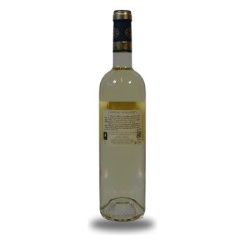 Château d'Ollières, Coteaux Varois en Provence blanc - Classique 2025