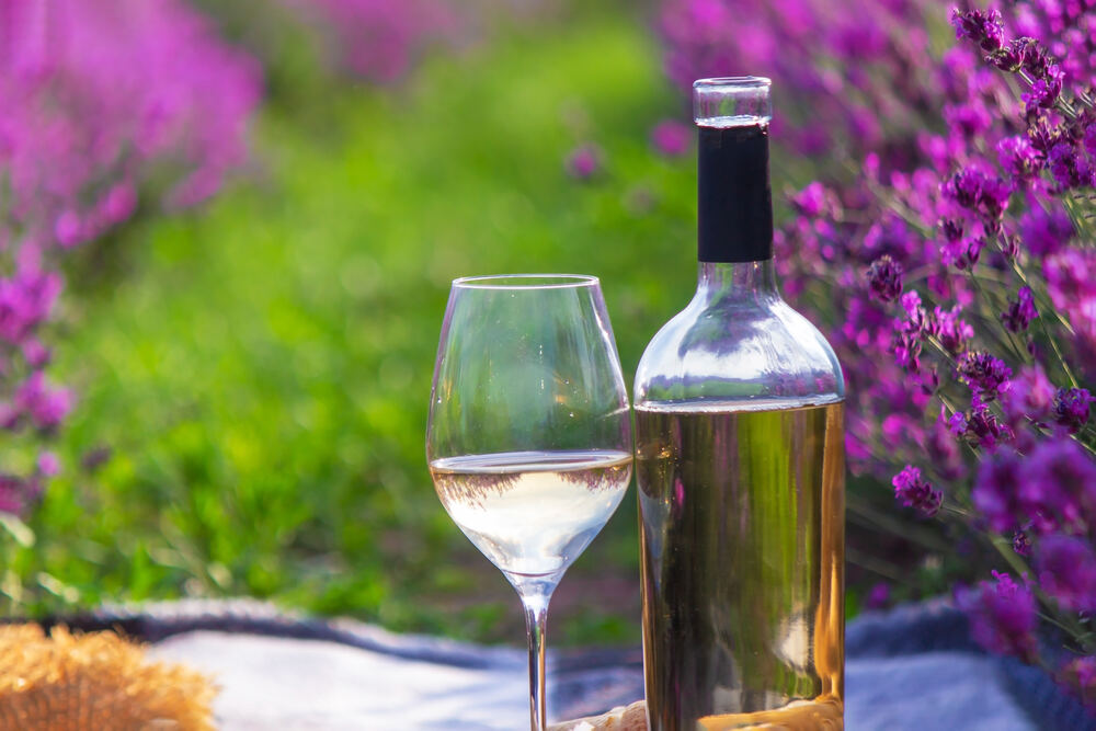 Wine, cheese and specialities laid out as a picnic