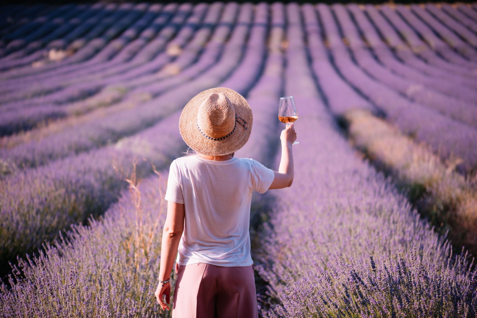 Lavender field in Provence, a woman with a glass of rose
