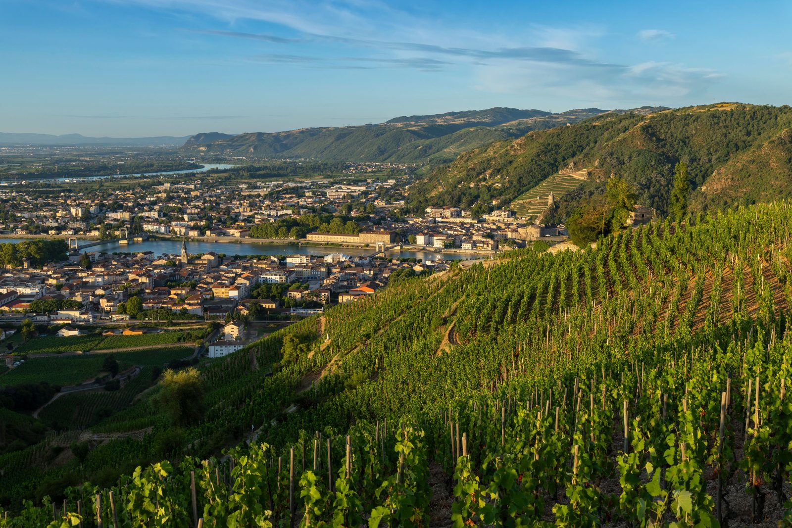 Vineyards above the Rhone valley near Tain-l Hermitage